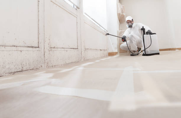 24/7 Emergency Basement Mold Remediation experts in Midland, PA