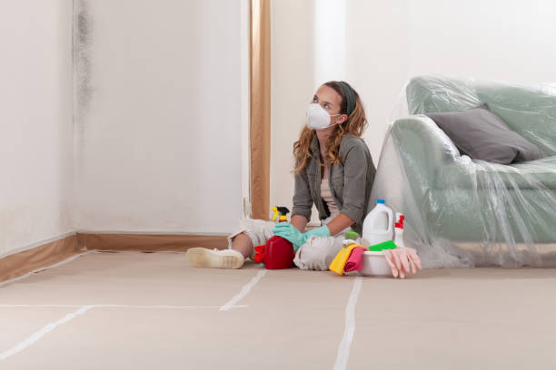 Reliable Basement Mold Remediation contractor in Midland, PA by Mold Remediation HQ